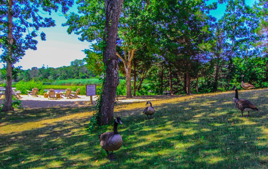 The Cove At Yarmouth West Yarmouth Exterior foto